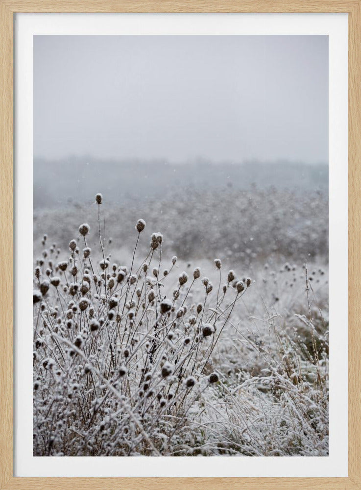 Winterfeld 4 | Poster
