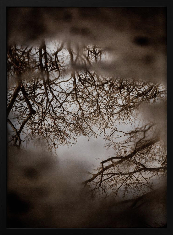 Winterreflexionen | Poster