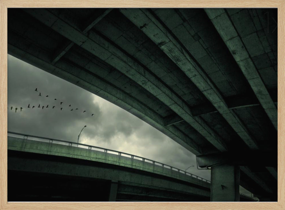Letzter Flug | Poster