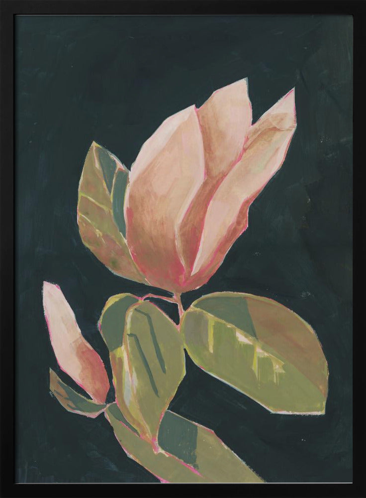 Magnolie im dunklen Hintergrund | Poster