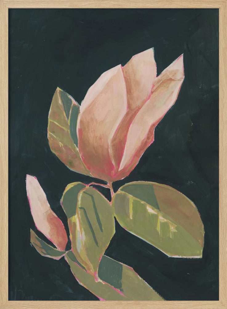 Magnolie im dunklen Hintergrund | Poster