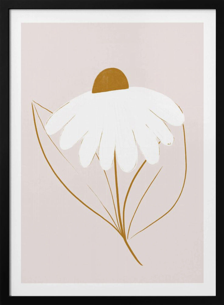 Weißes Gänseblümchen | Poster