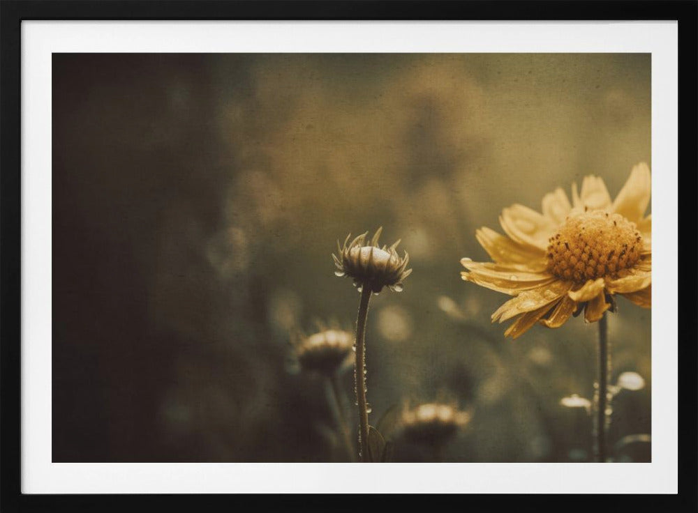 Goldenes Flüstern | Poster