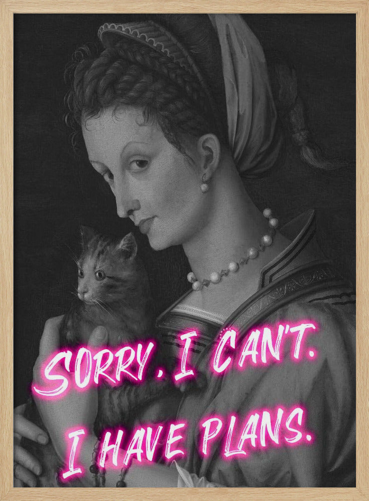 Catlady Verhältnis 2x3 | Poster