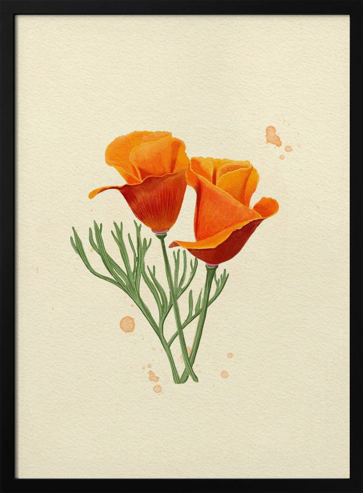Kalifornischer Mohn | Poster