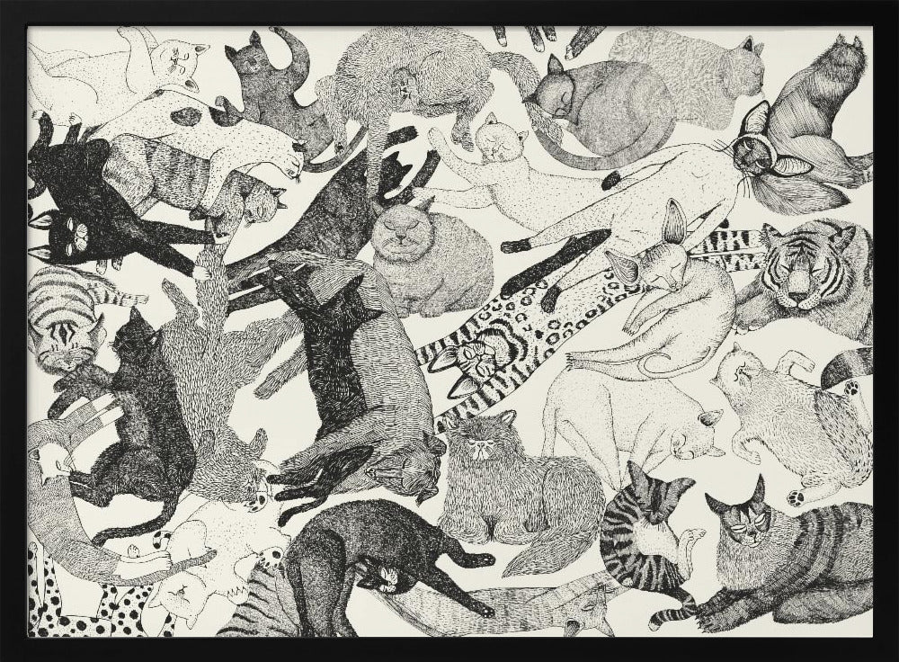 Cats | Poster