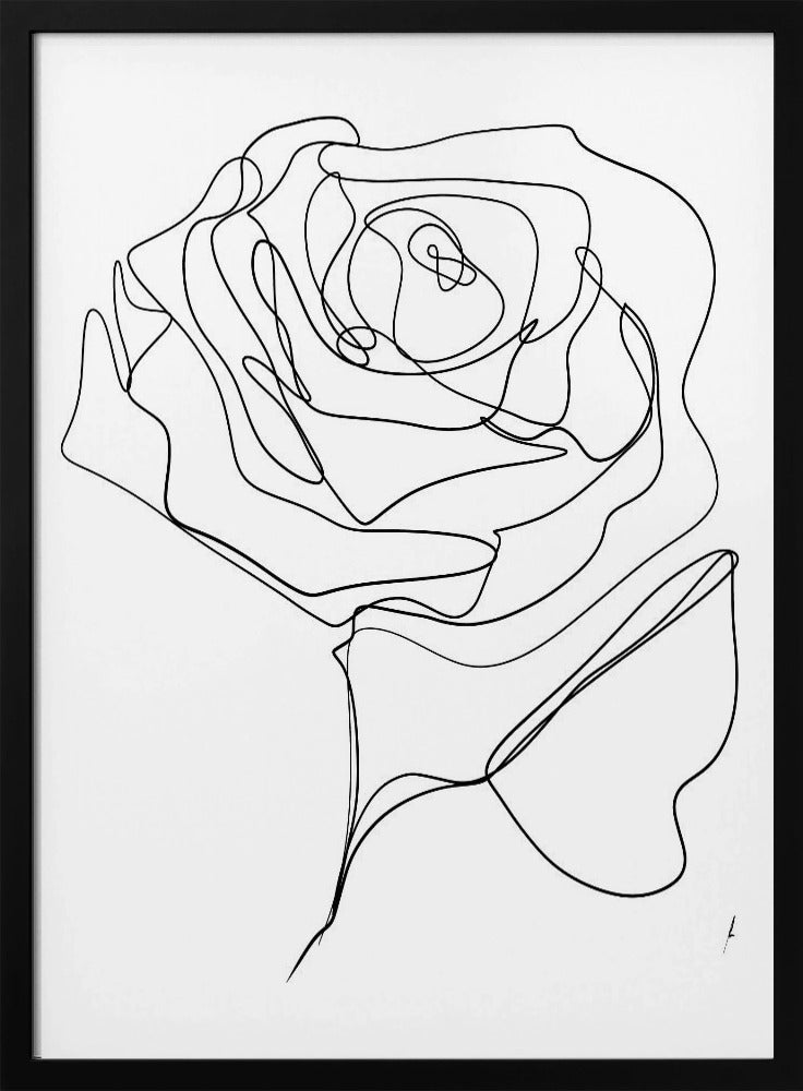 ROSE EINZELN ZEICHNUNG | Poster