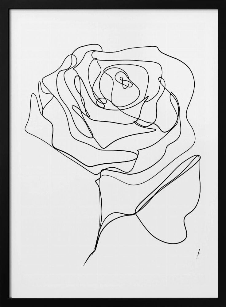 ROSE EINZELN ZEICHNUNG | Poster