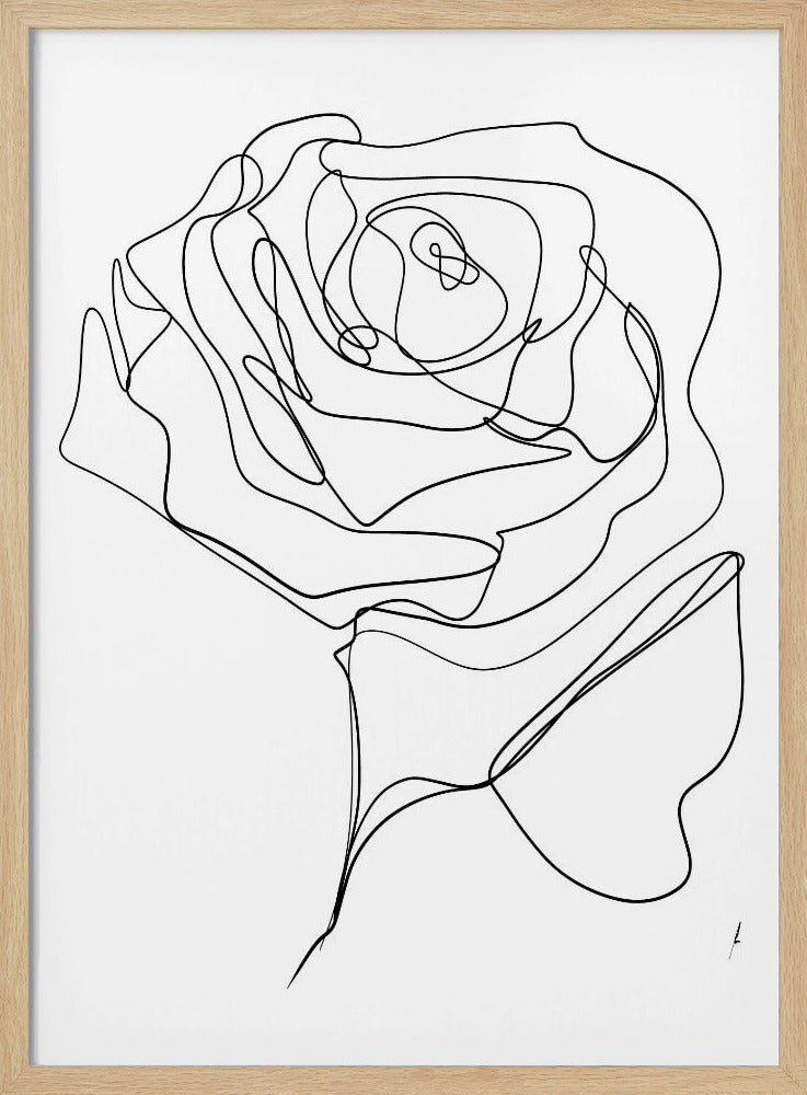 ROSE EINZELN ZEICHNUNG | Poster