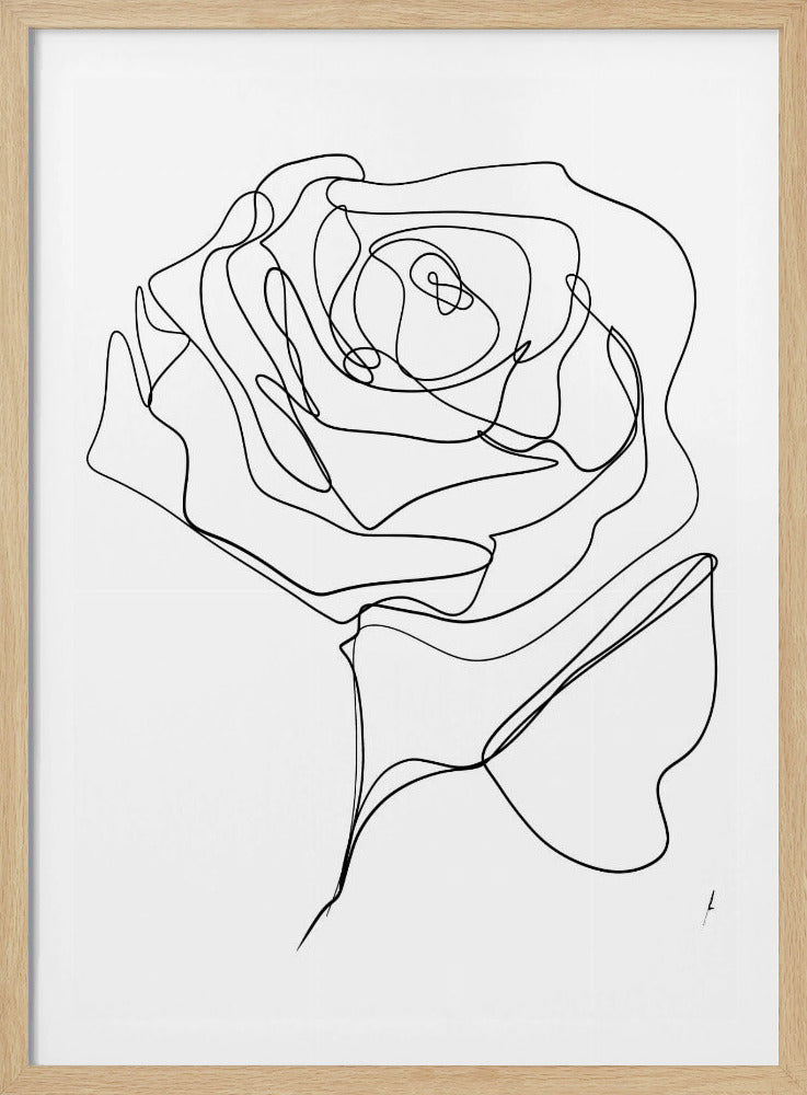 ROSE EINZELN ZEICHNUNG | Poster
