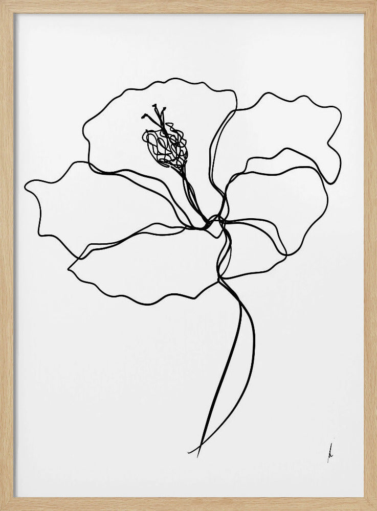 Linienblütenessenz | Poster