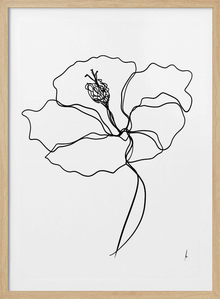 Linienblütenessenz | Poster