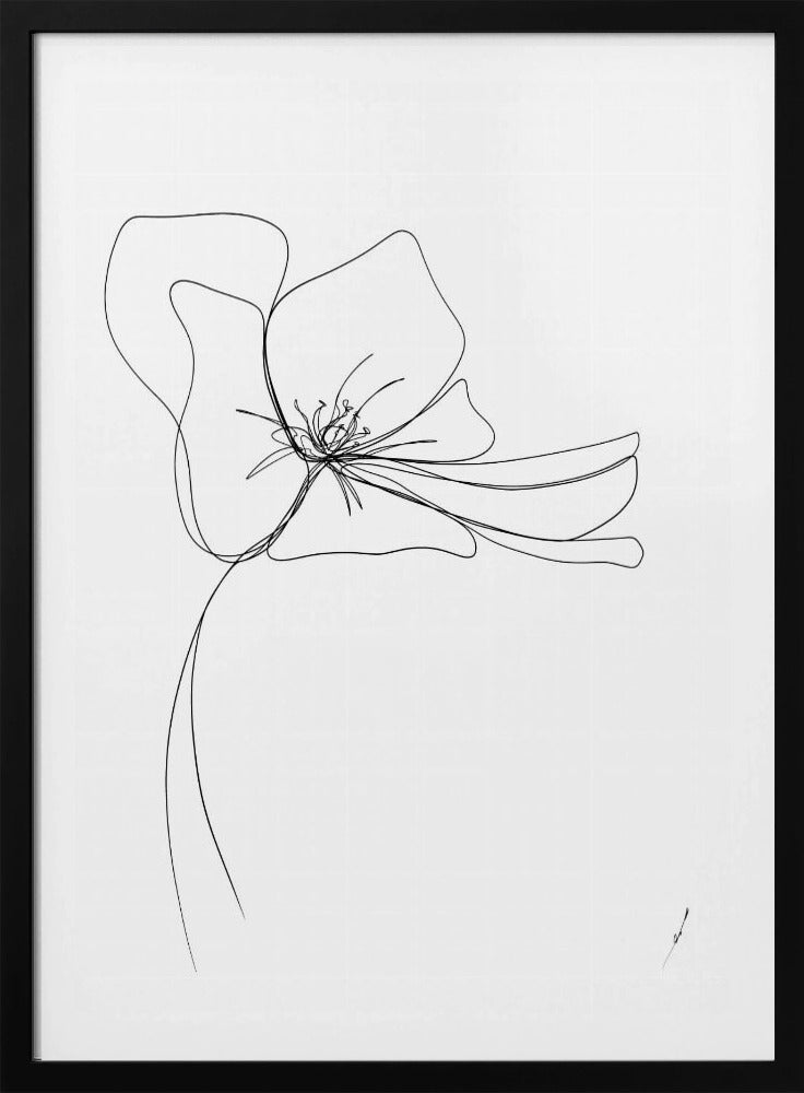 Wunderliche Blüte | Poster