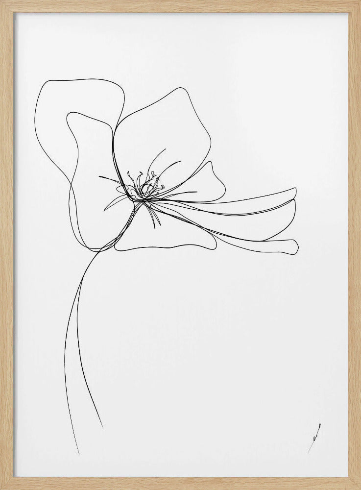 Wunderliche Blüte | Poster