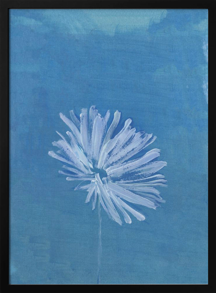 Weiße Blume auf blauem Hintergrund | Poster
