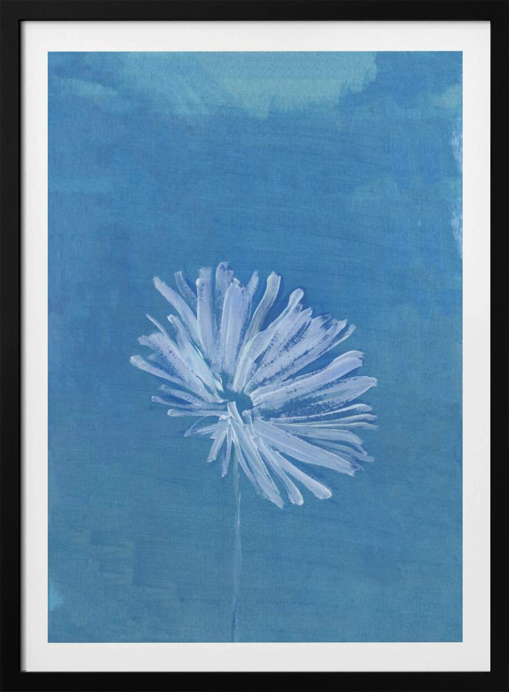 Weiße Blume auf blauem Hintergrund | Poster