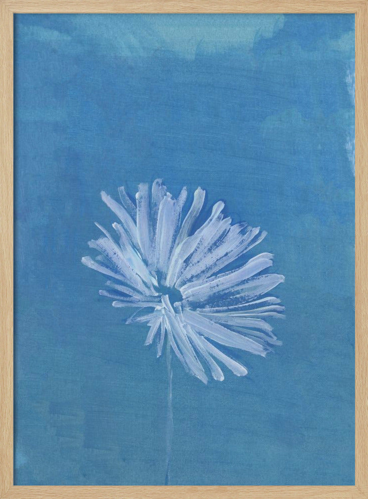 Weiße Blume auf blauem Hintergrund | Poster