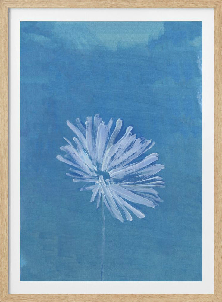 Weiße Blume auf blauem Hintergrund | Poster