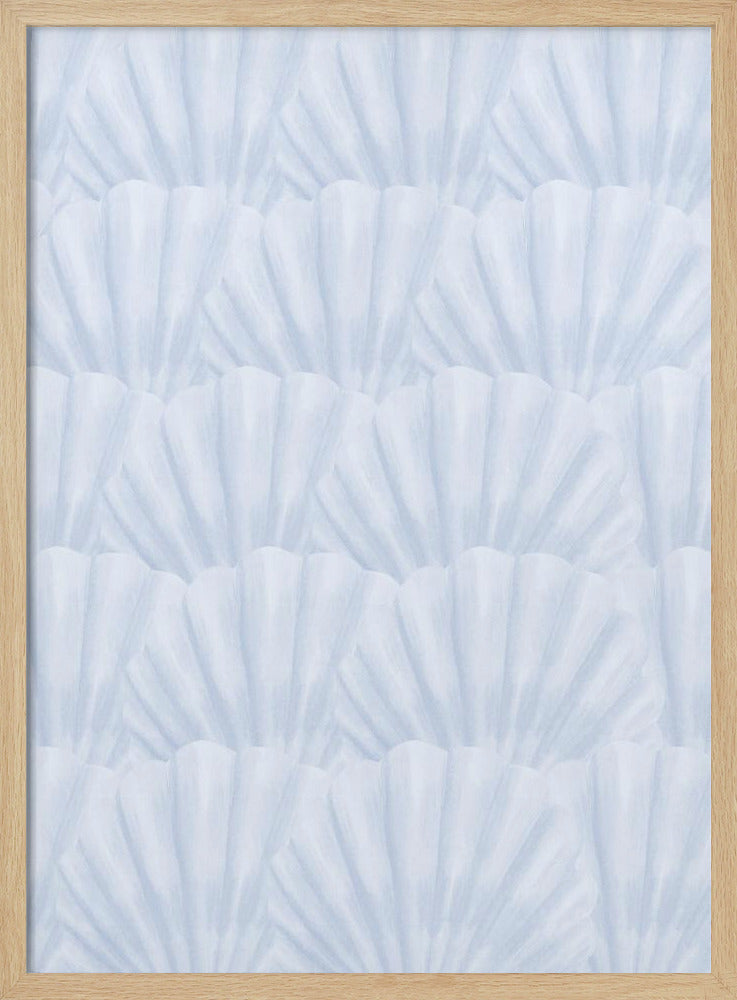 Seashells | Poster