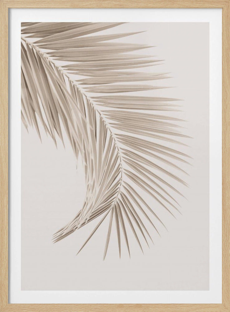 Hellbraunes Blatt | Poster