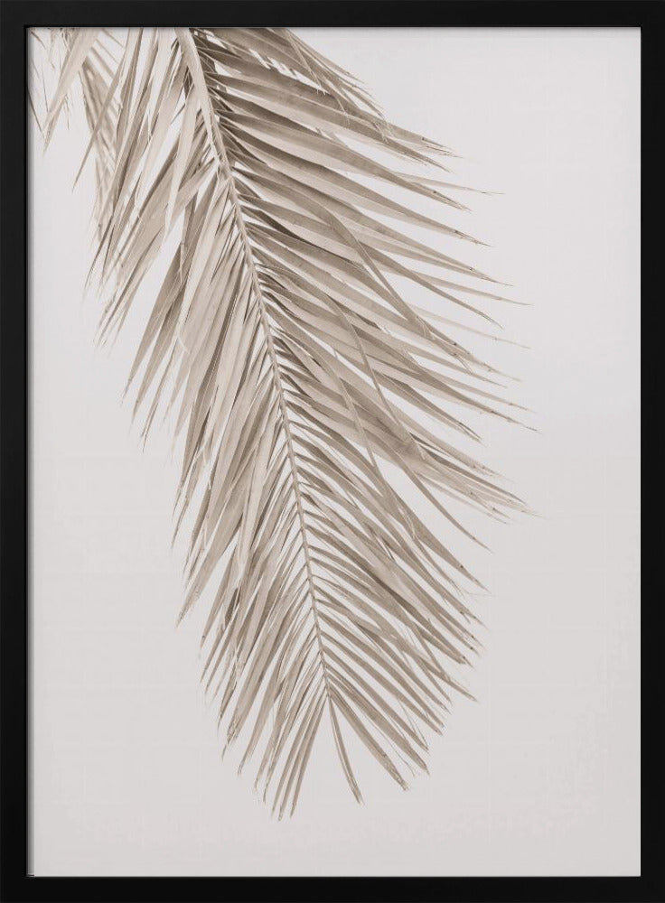 Tan Leaf 2 | Poster