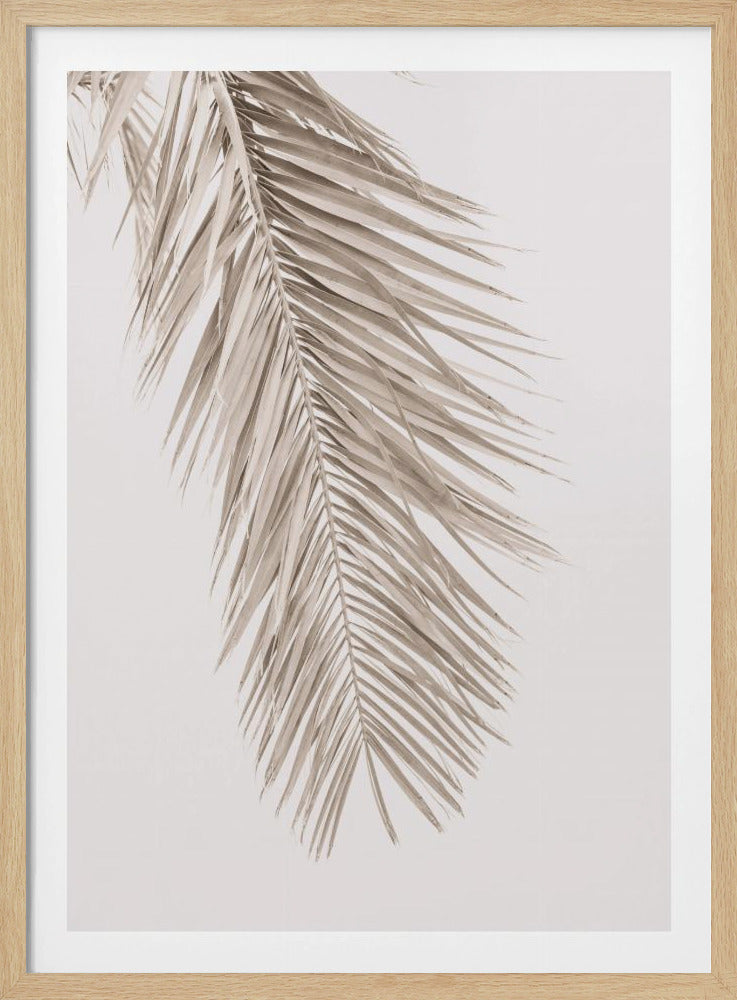 Tan Leaf 2 | Poster