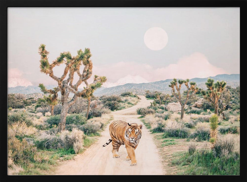 Wandernder Tiger | Poster