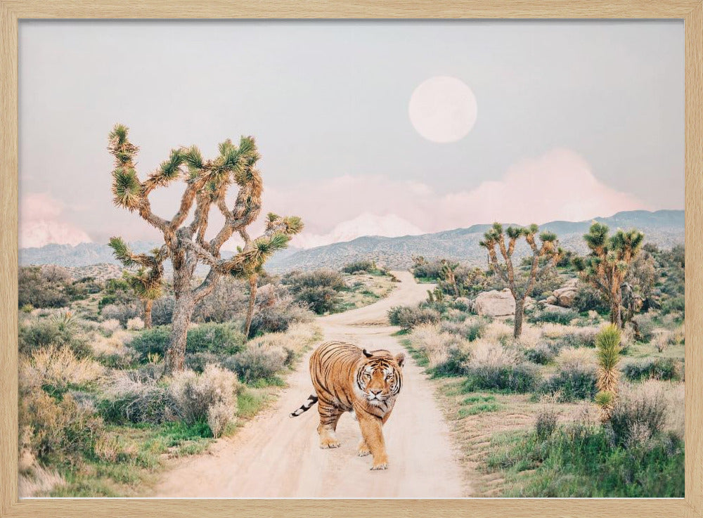 Wandernder Tiger | Poster