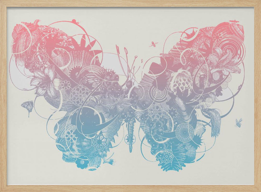 Schmetterling 1 | Poster