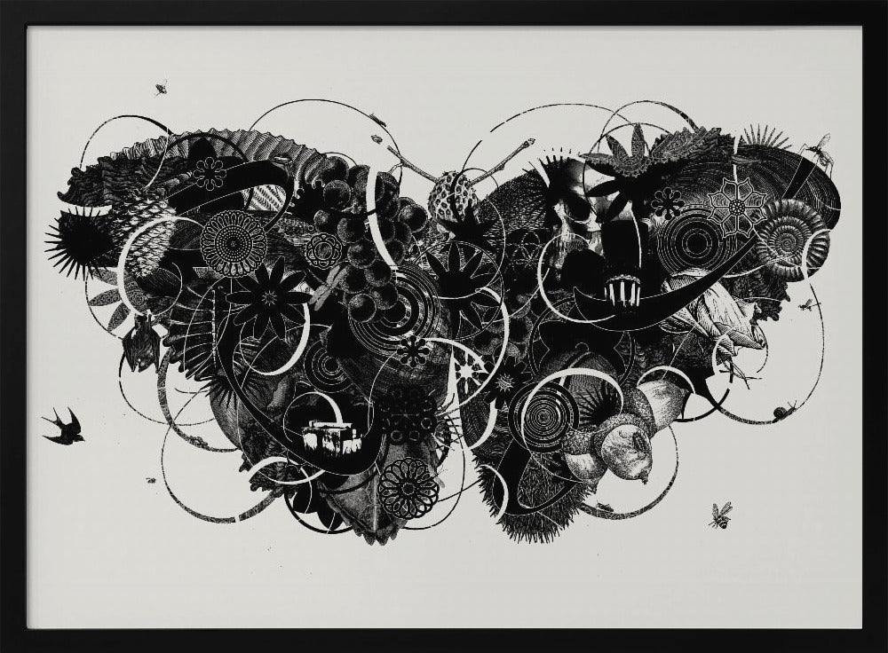 Schmetterling 3 | Poster