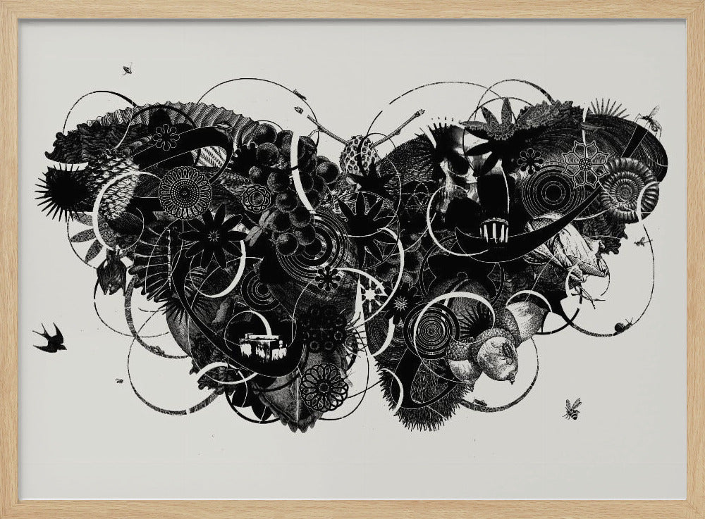 Schmetterling 3 | Poster