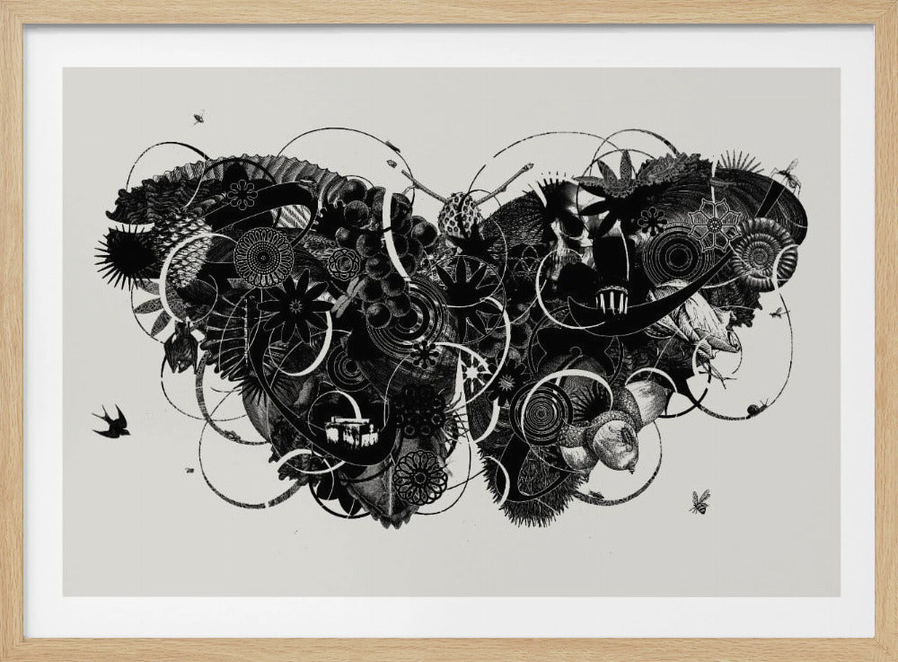 Schmetterling 3 | Poster