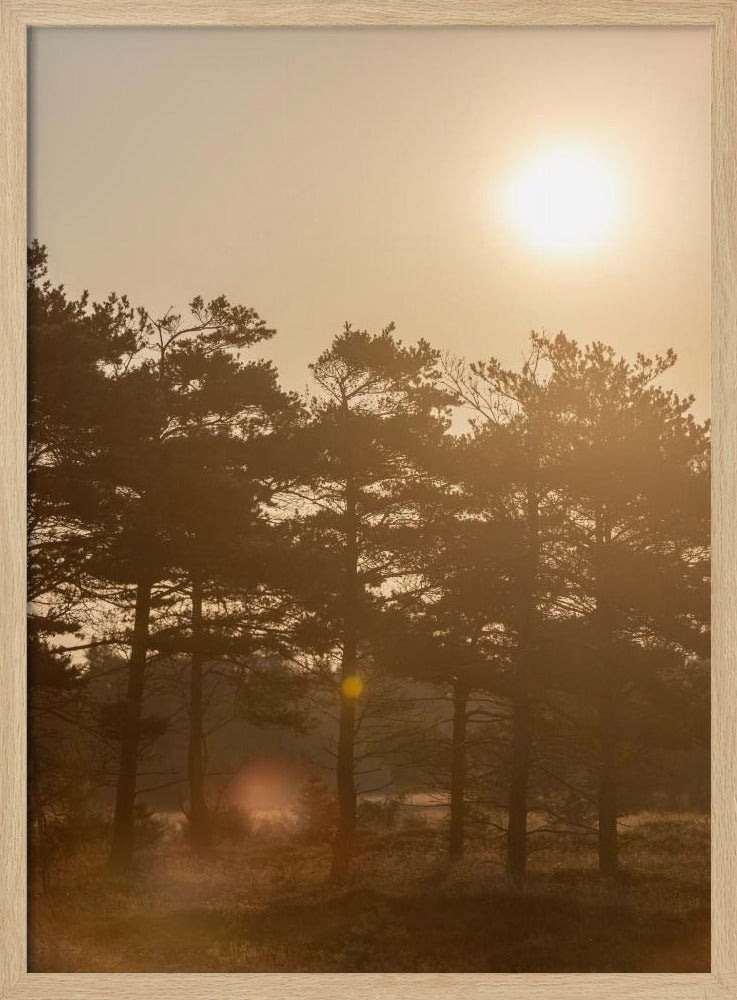 Eine Morgenszene 5 | Poster