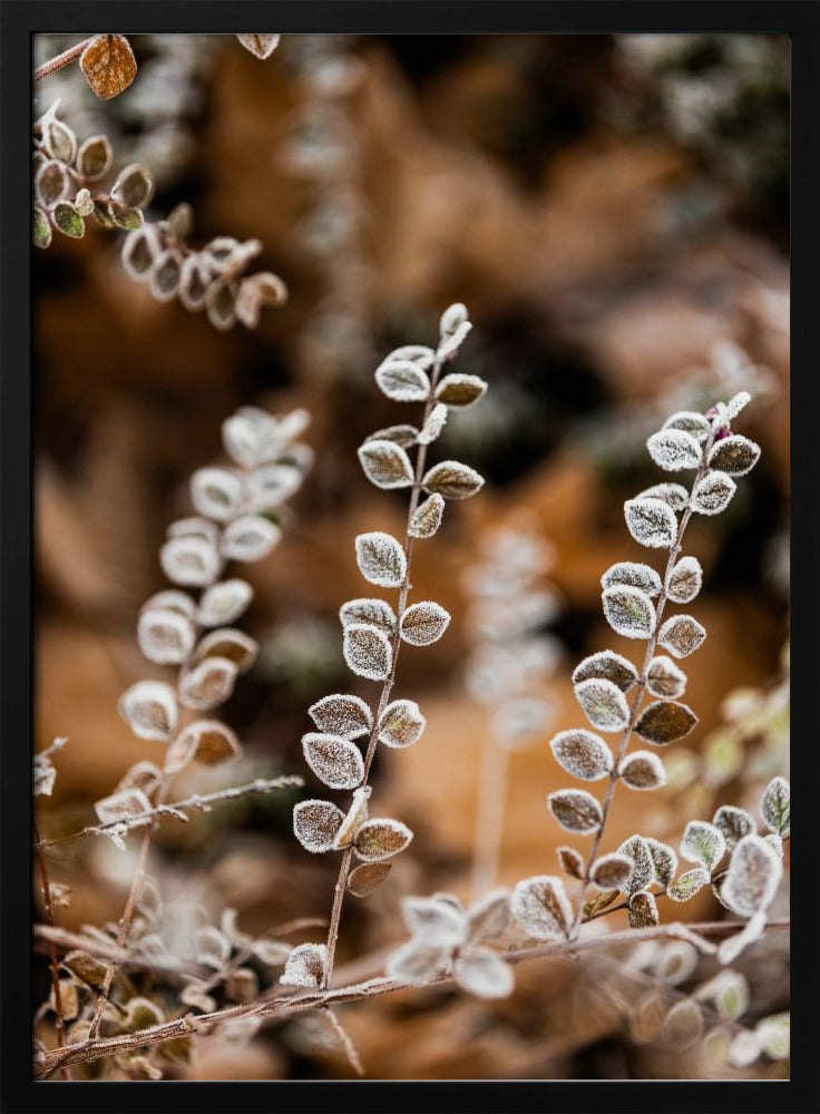 Ein Wintermorgen 2 | Poster