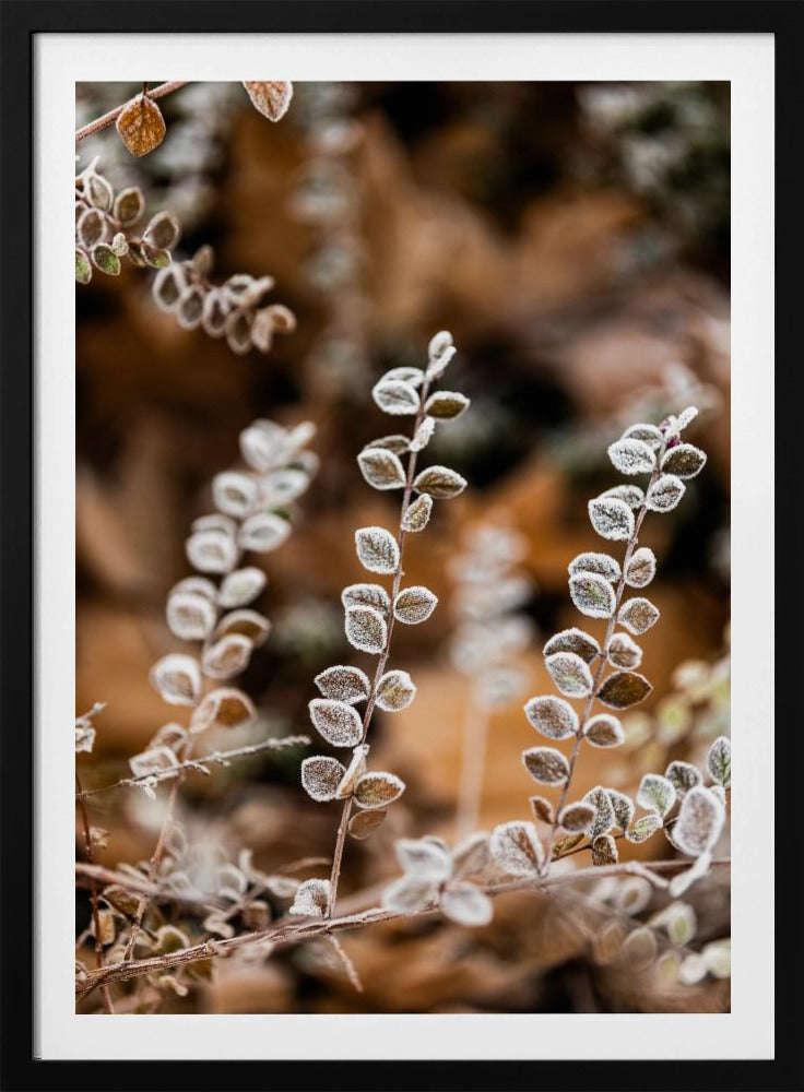 Ein Wintermorgen 2 | Poster