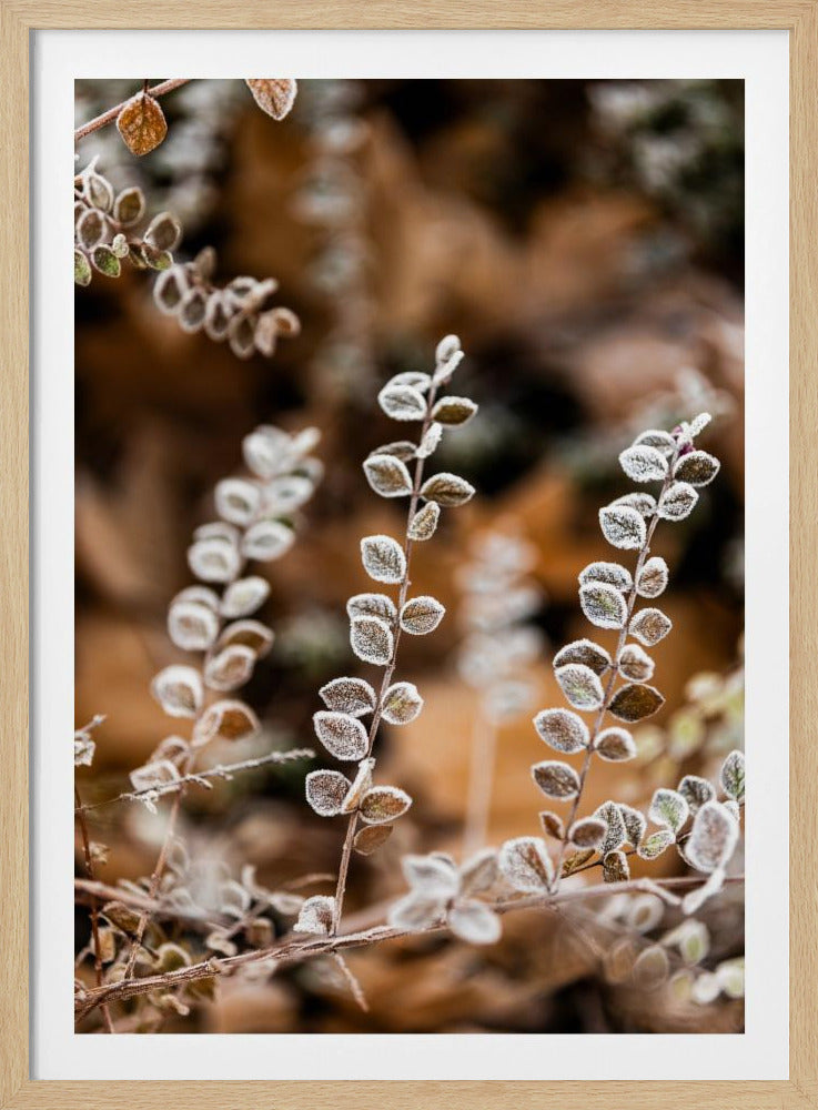 Ein Wintermorgen 2 | Poster