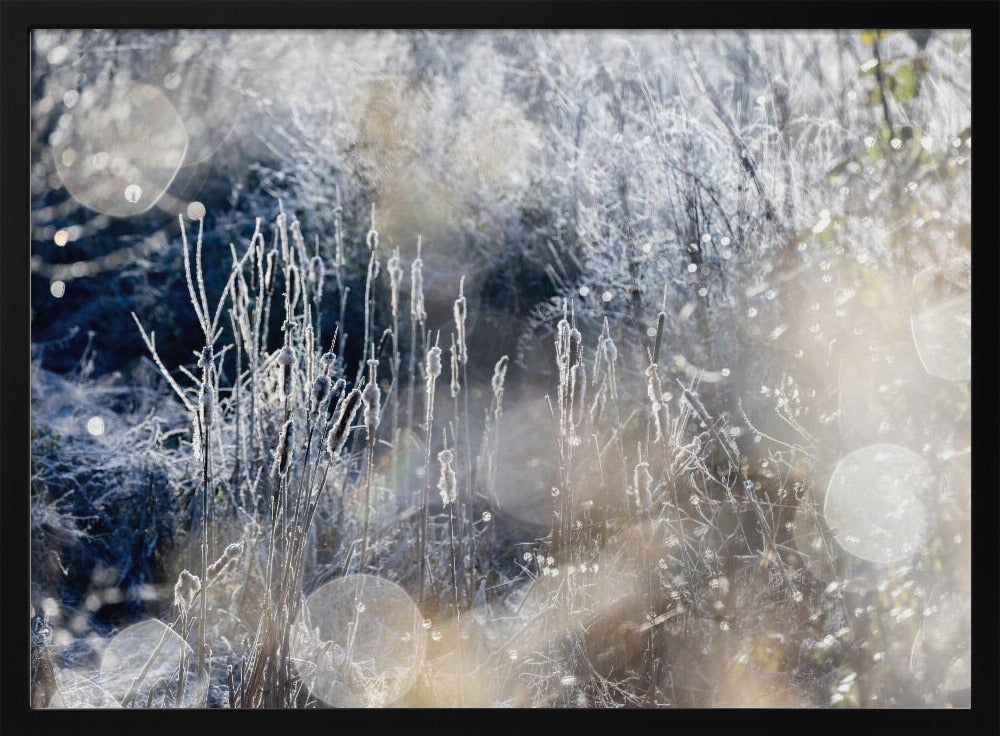 Ein Wintermorgen 3 | Poster