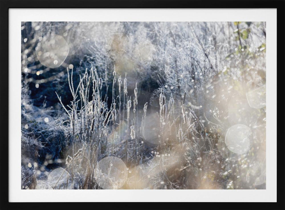 Ein Wintermorgen 3 | Poster