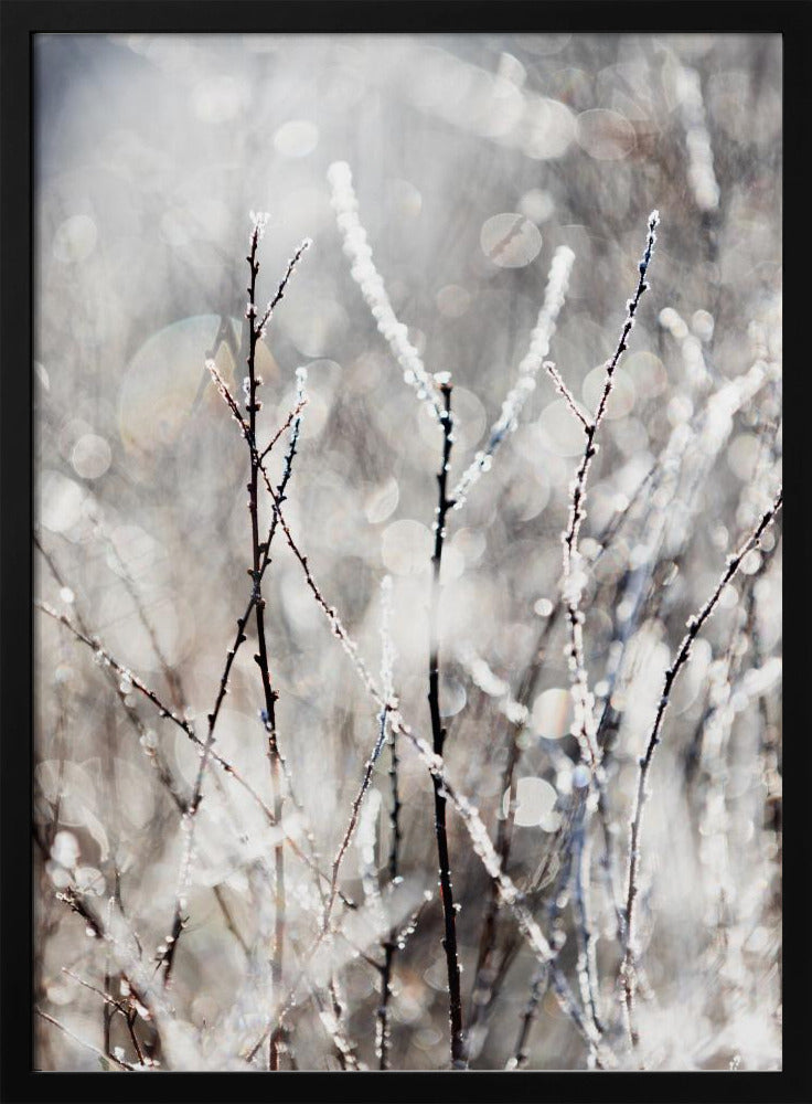 Ein Wintermorgen 4 | Poster