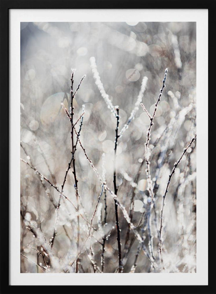 Ein Wintermorgen 4 | Poster