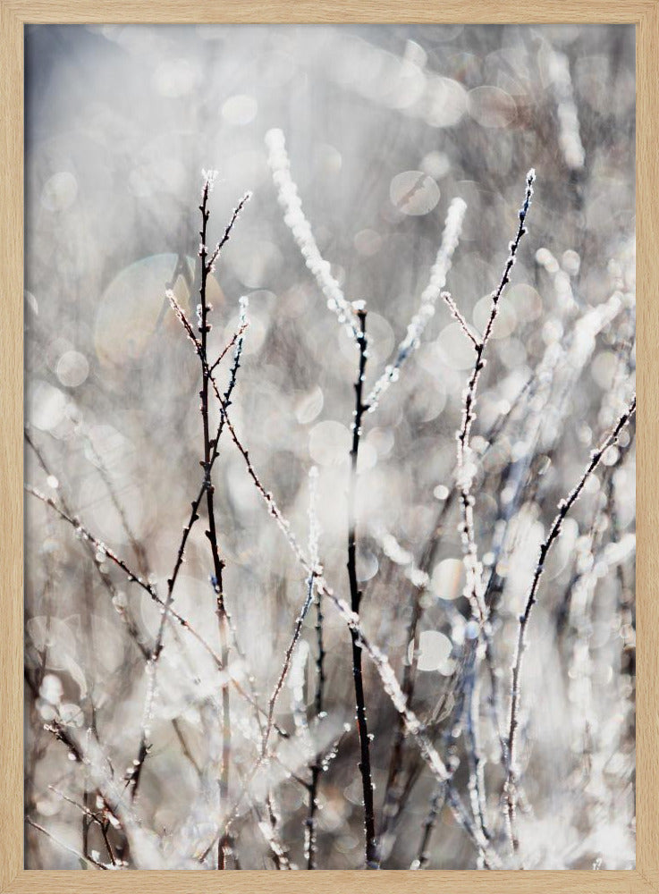 Ein Wintermorgen 4 | Poster