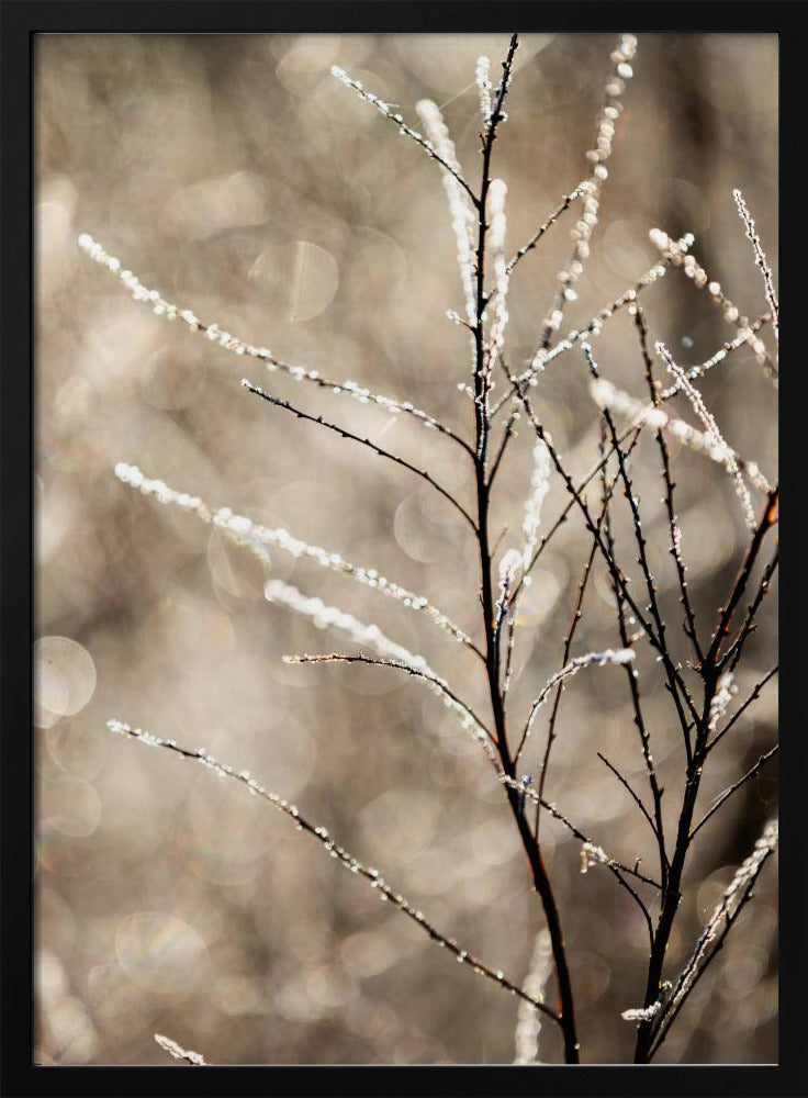 Ein Wintermorgen 5 | Poster
