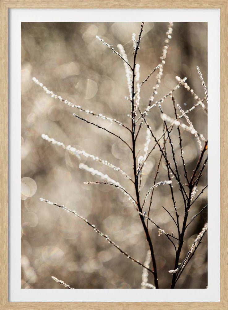 Ein Wintermorgen 5 | Poster