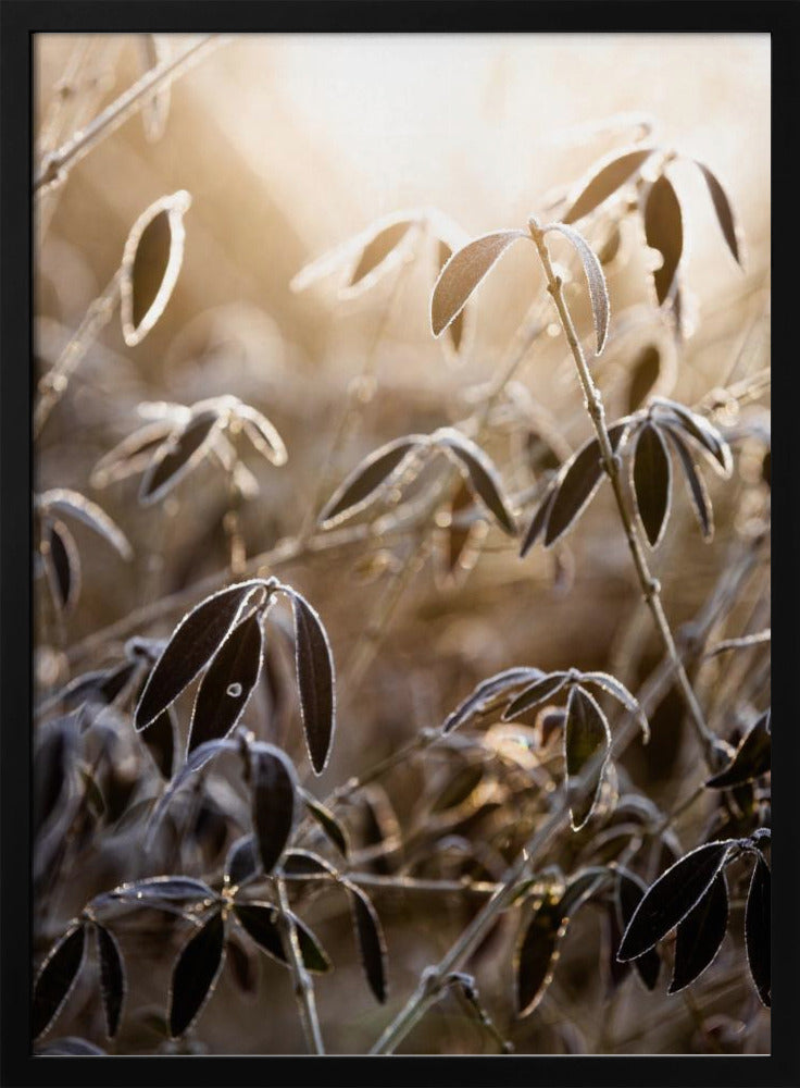 Ein Wintermorgen 6 | Poster