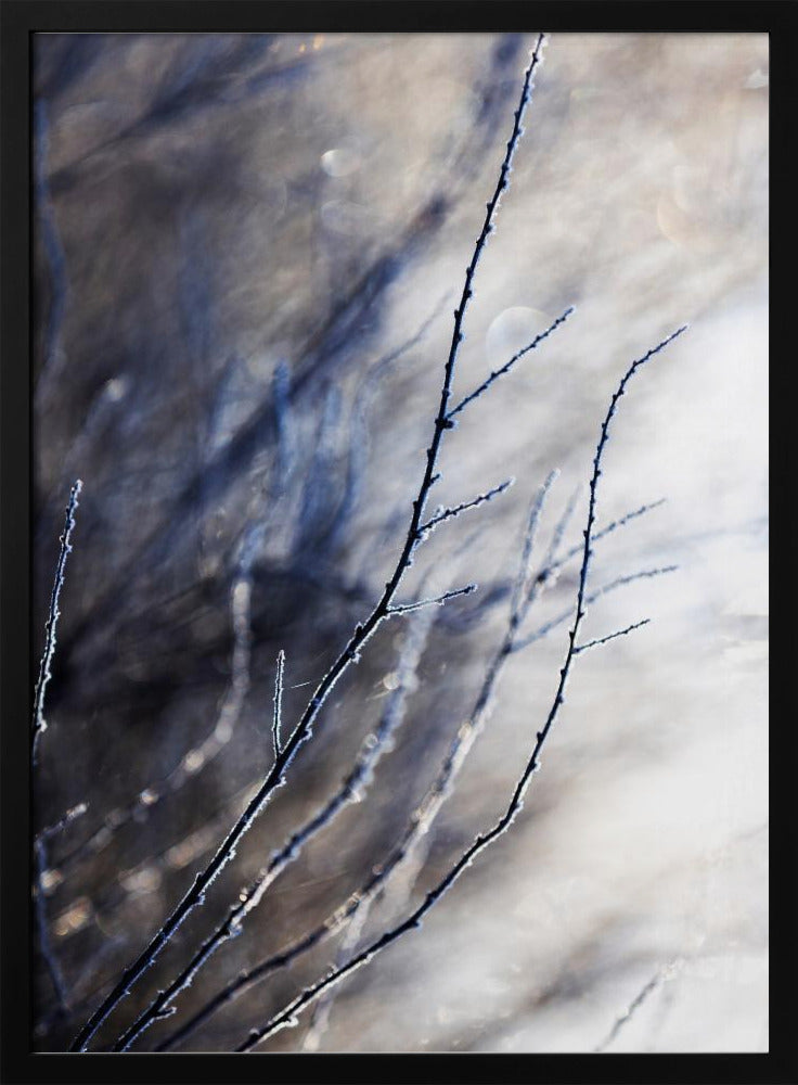 Ein Wintermorgen 7 018a4832 | Poster