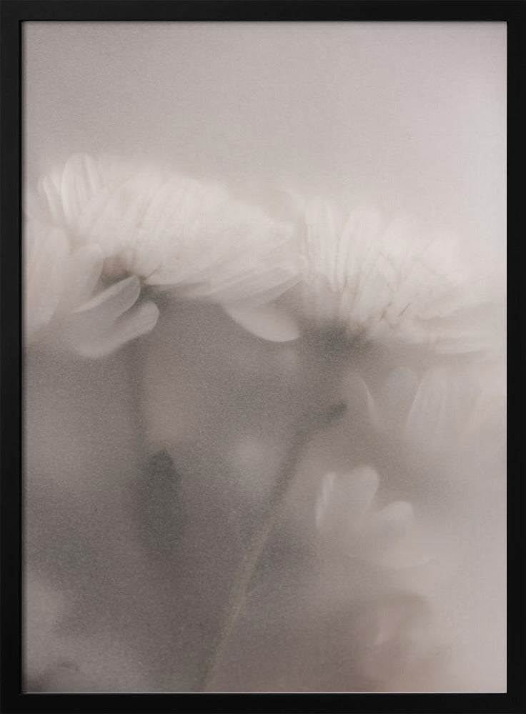 Verschwommene Blumen 2 | Poster