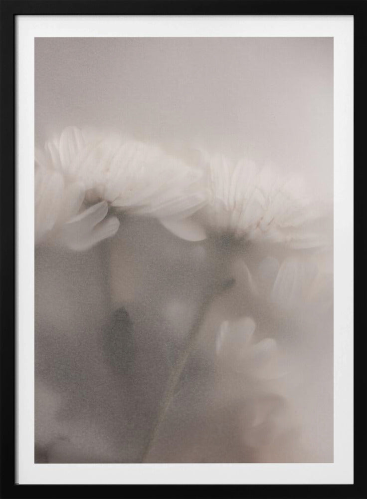 Verschwommene Blumen 2 | Poster