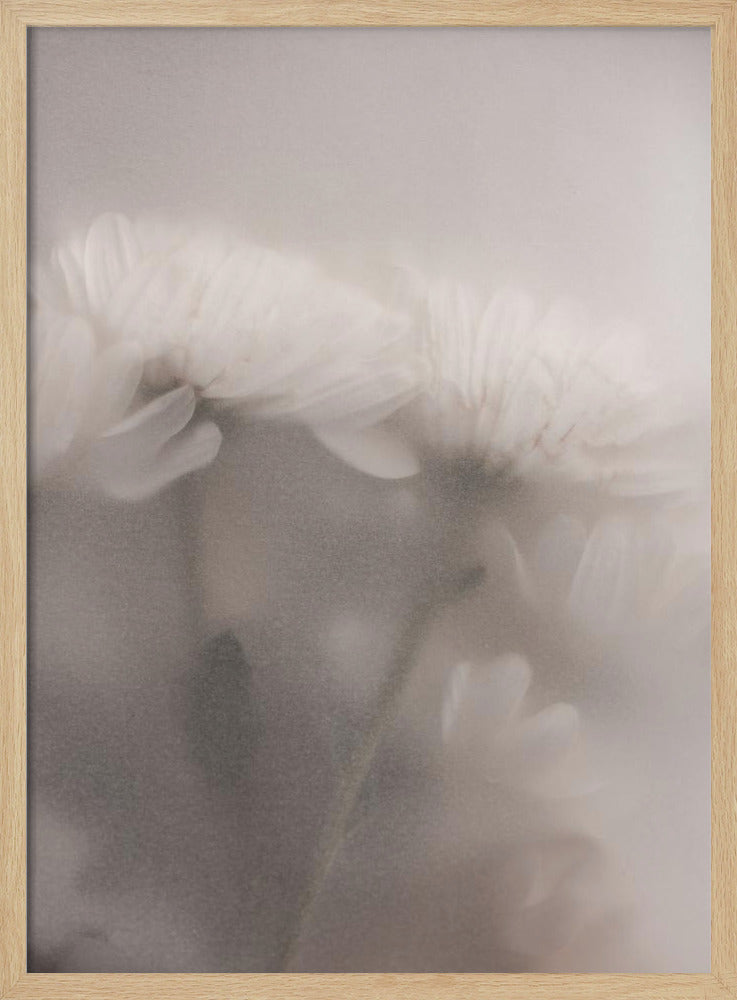 Verschwommene Blumen 2 | Poster