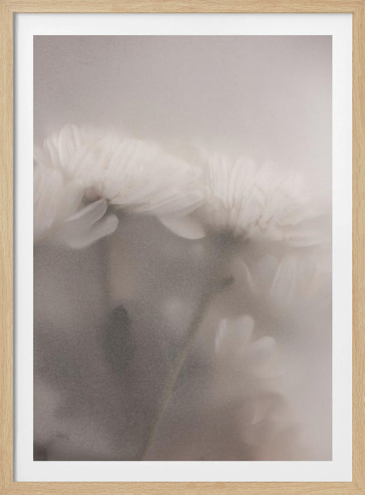 Verschwommene Blumen 2 | Poster