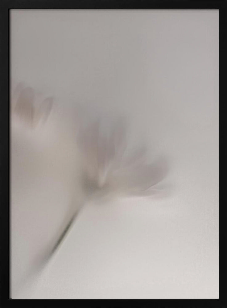 Verschwommene Blumen 1 018a5454 | Poster